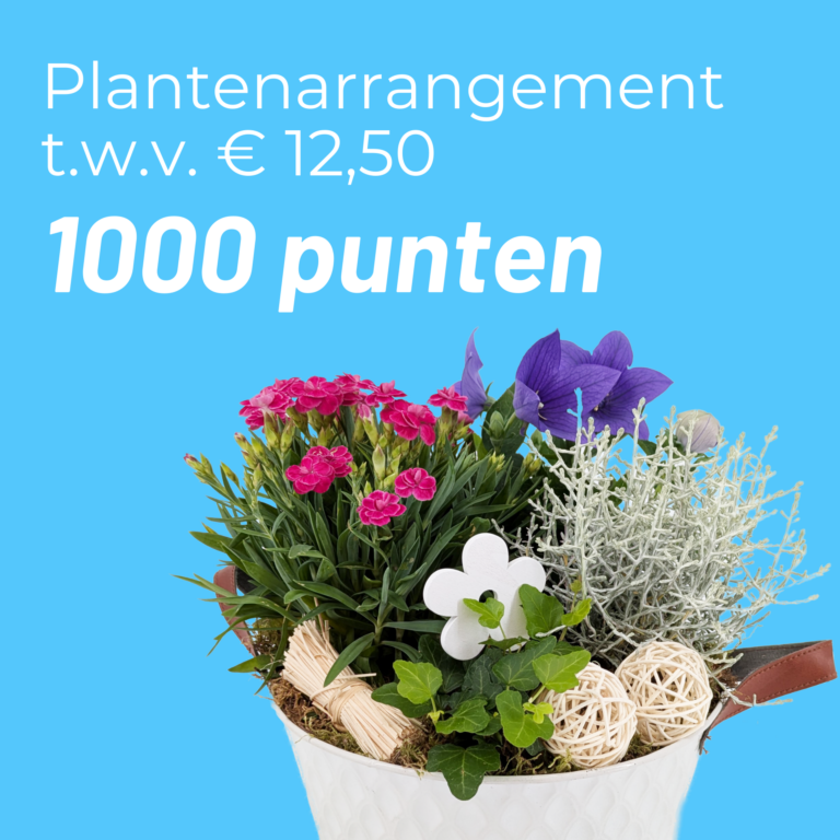 Plantenarrangement