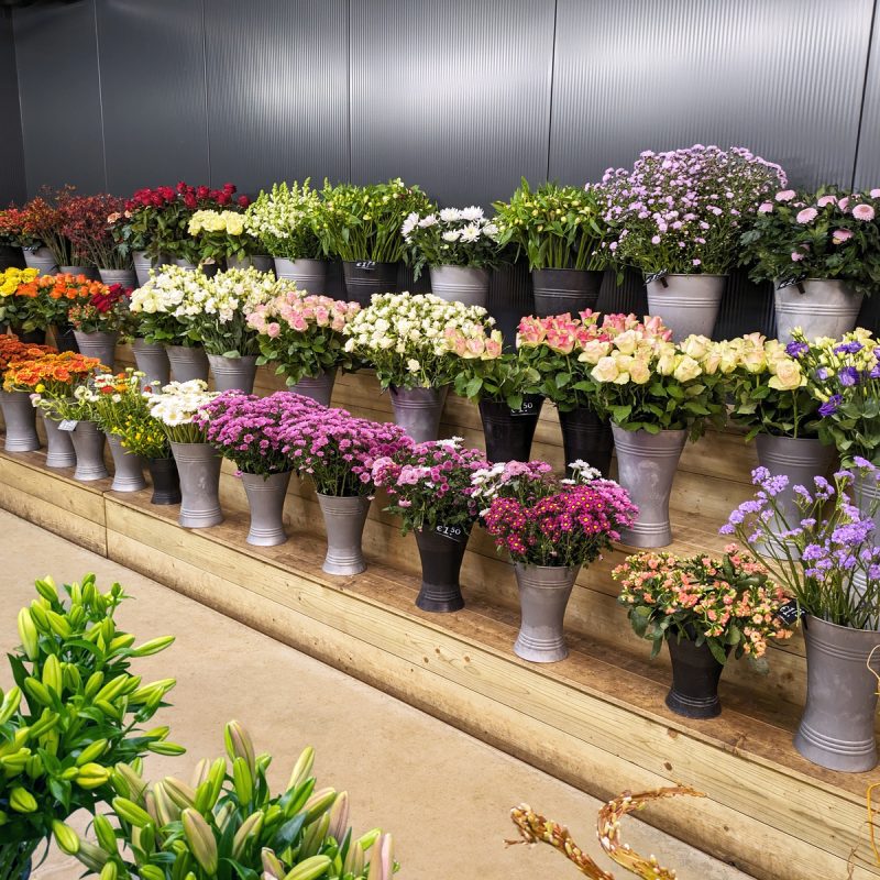 assortiment bloemisterij1